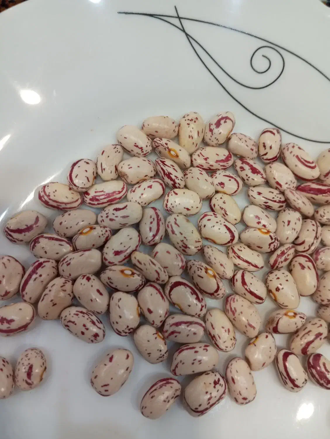 لوبیا چیتی|خوردنی و آشامیدنی|عجب شیر, |دیوار