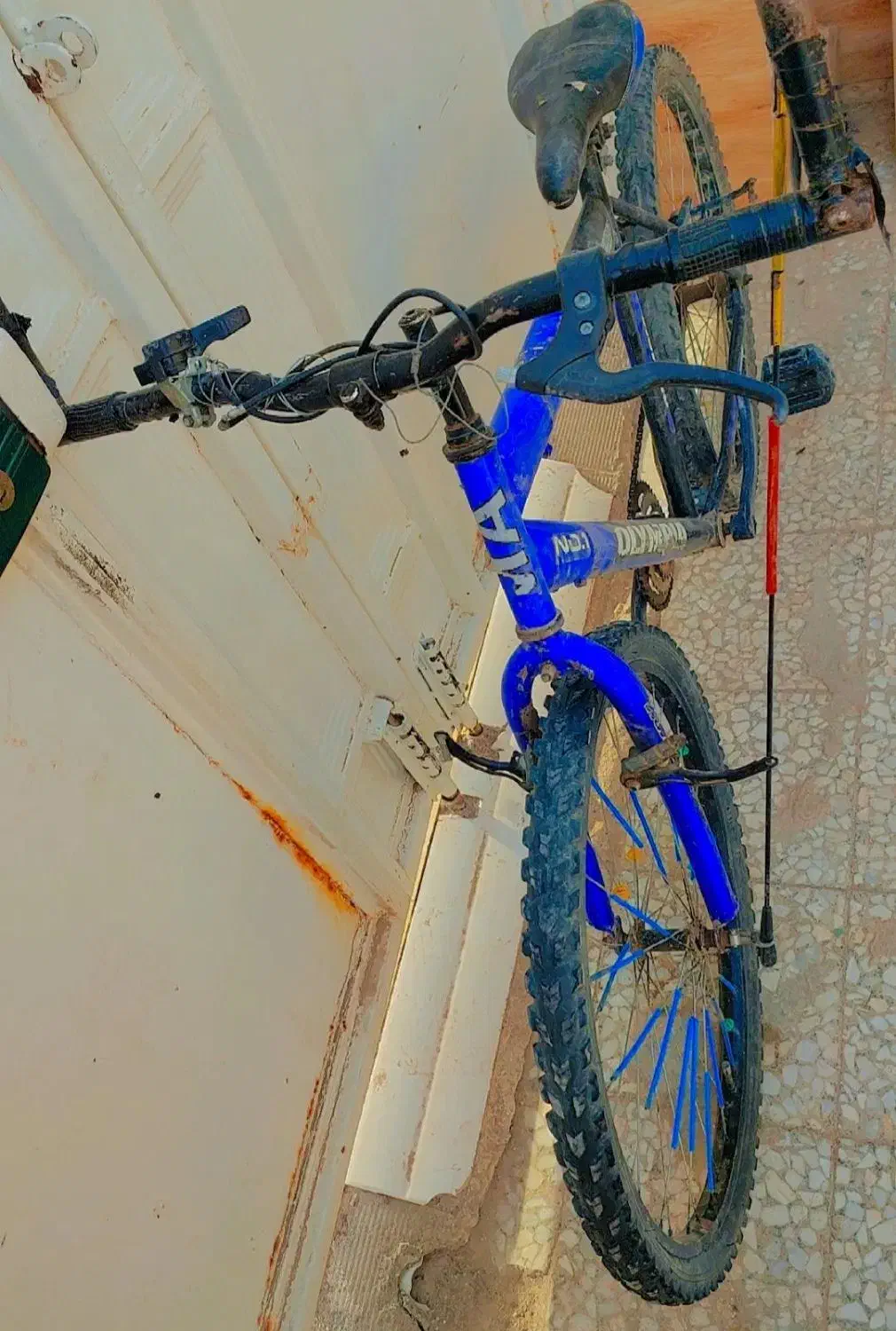 دوچرخه ۲۶ کوهستان|دوچرخه، اسکیت، اسکوتر|زهک, |دیوار