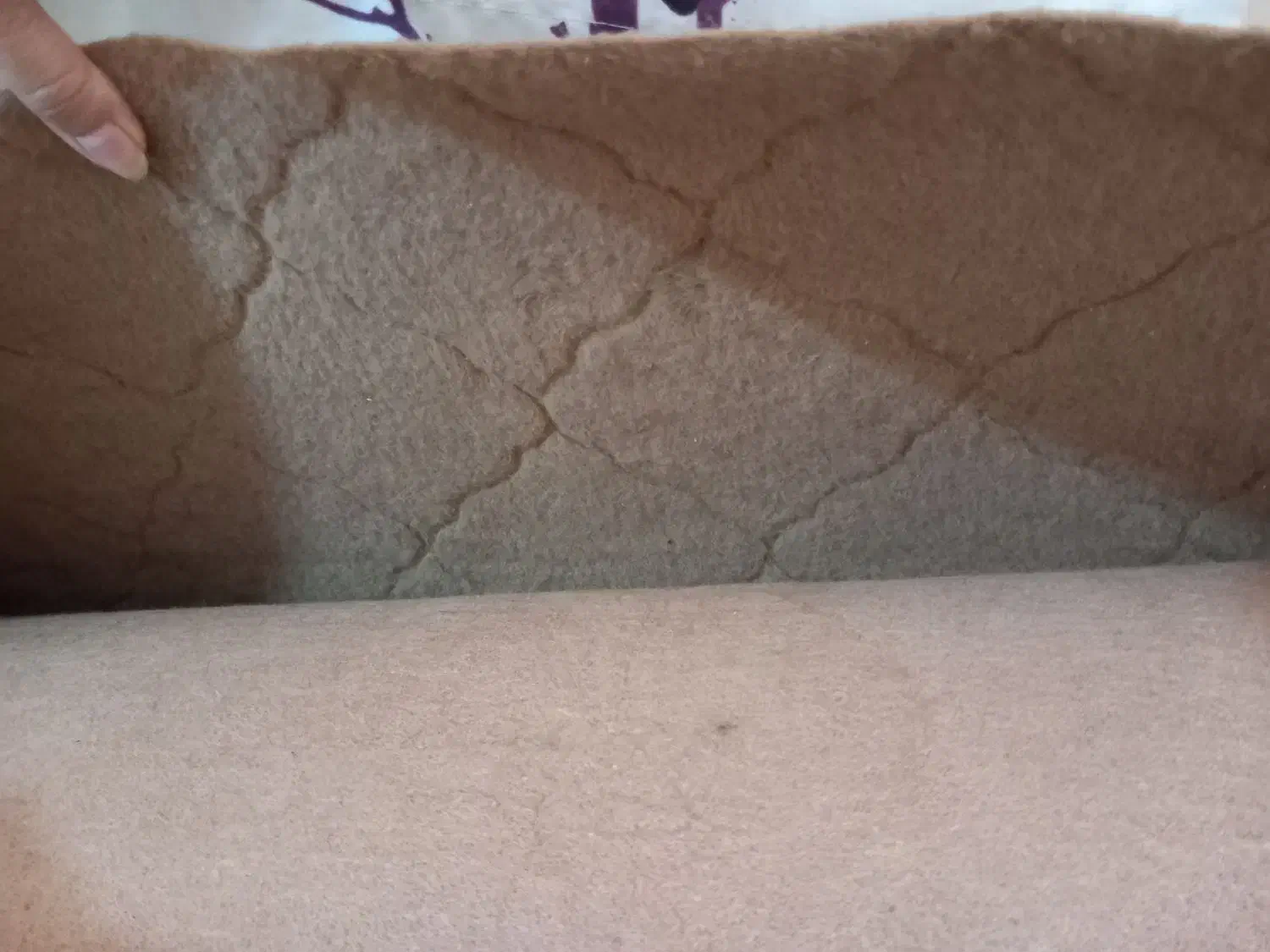 موکت|موکت|بجنورد, |دیوار