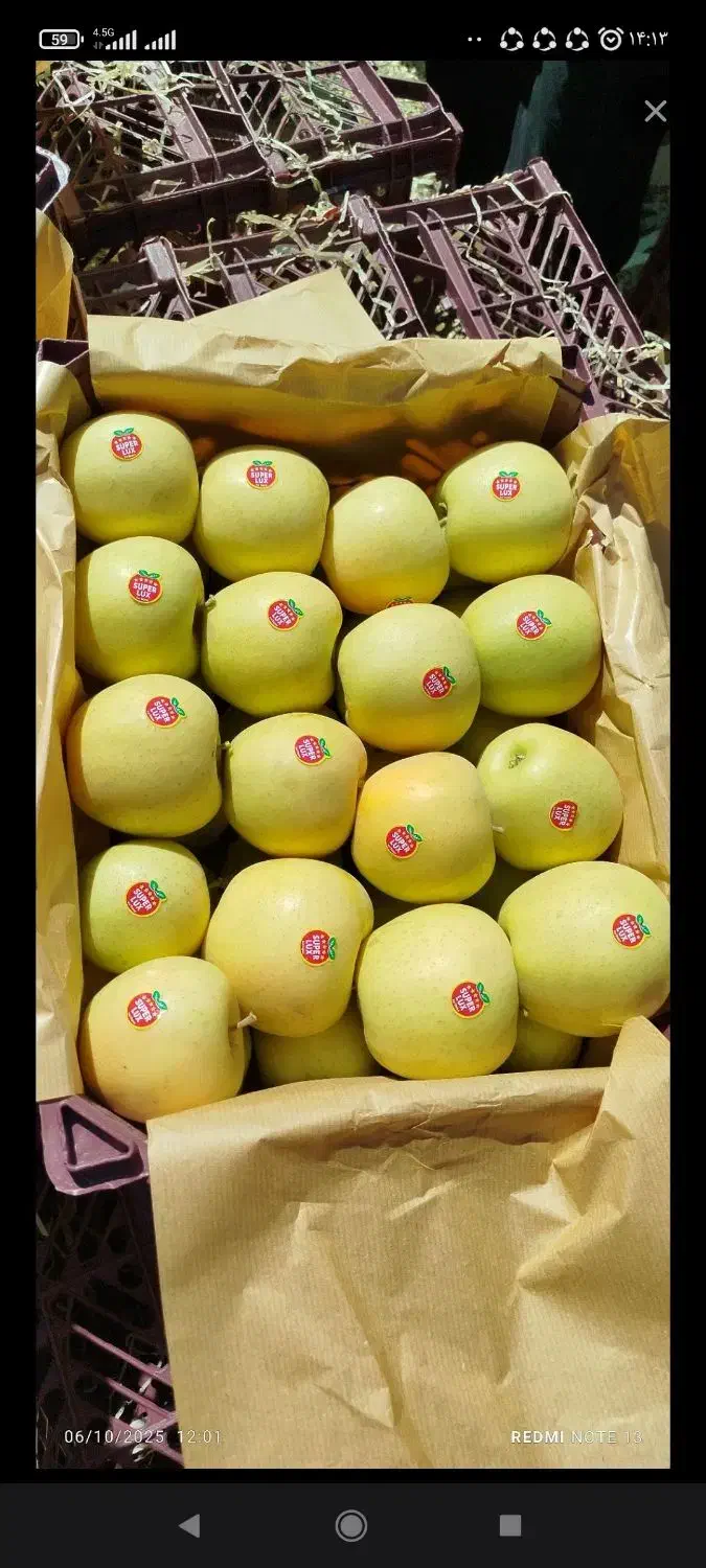 سیب درجه 2 و درجه 1|عمدهفروشی|ری, علایین|دیوار