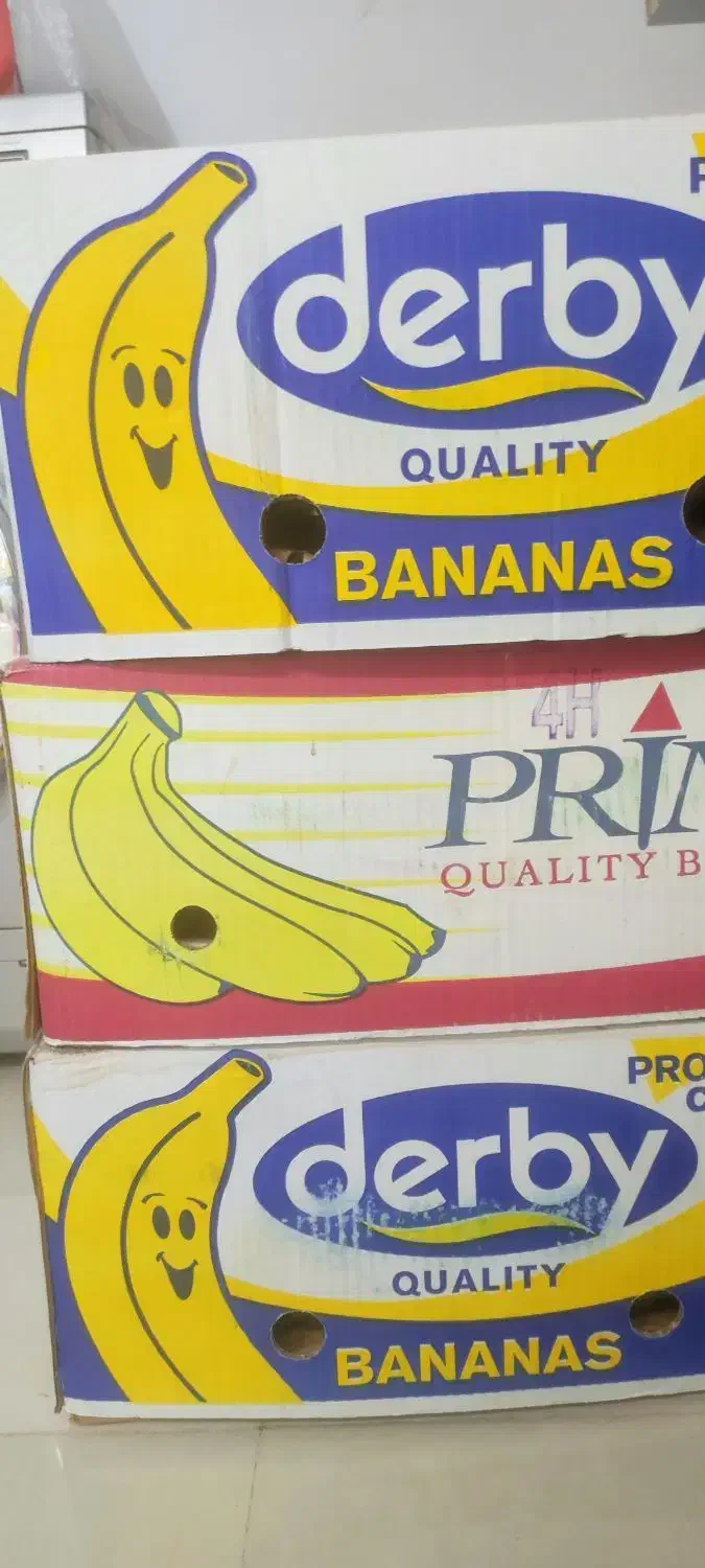 کارتن موز قیمت دونه ایی ۲۰ تومن|حراج|بندرعباس, |دیوار