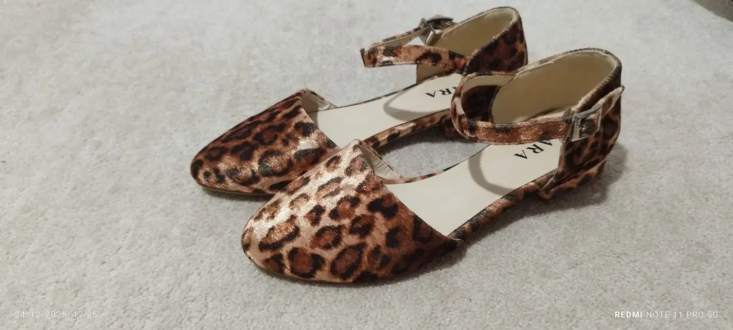 کفش مجلسی|کیف، کفش، کمربند|رشت, گیل|دیوار