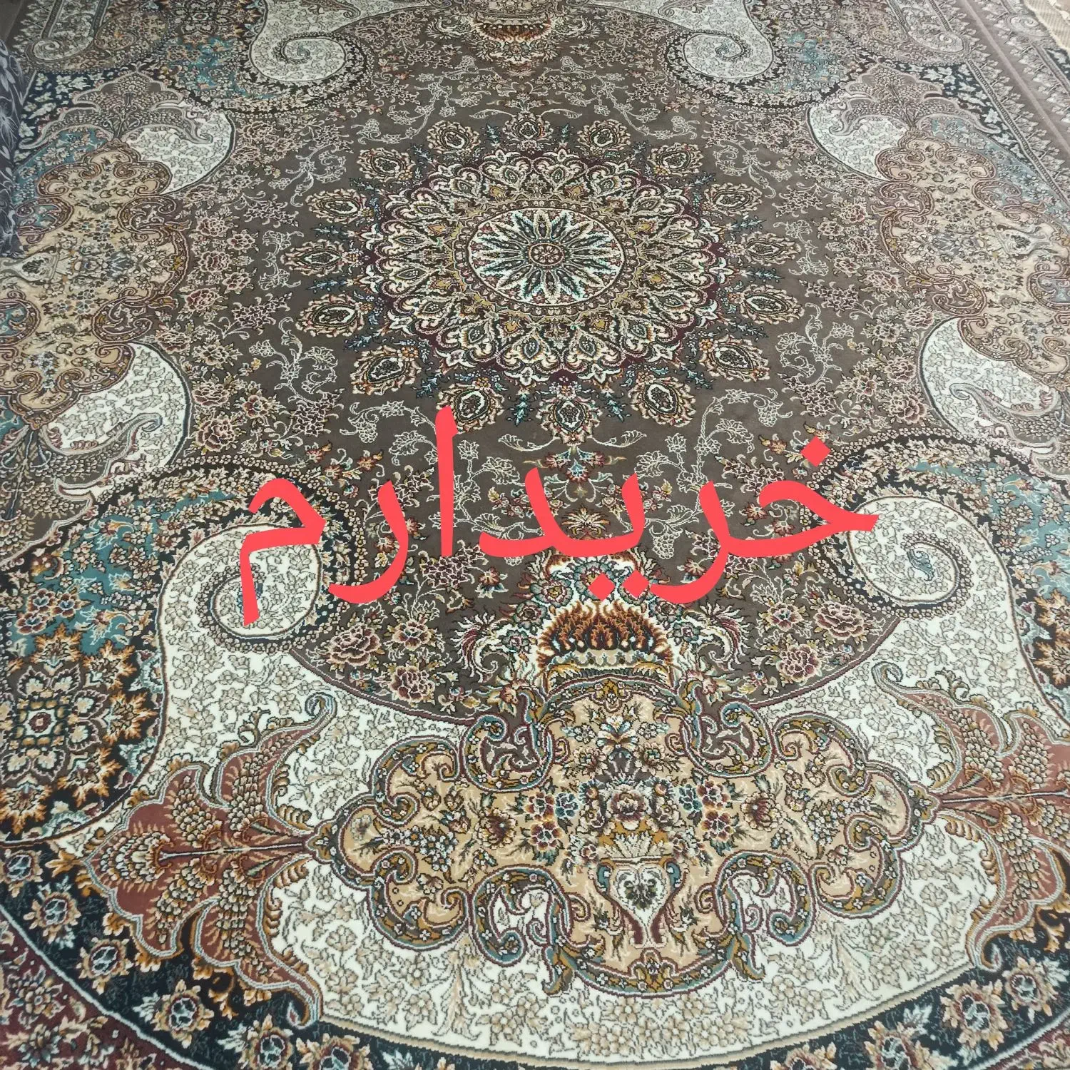 فرش ۶متری|فرش|سبزوار, شرق کال میانی|دیوار