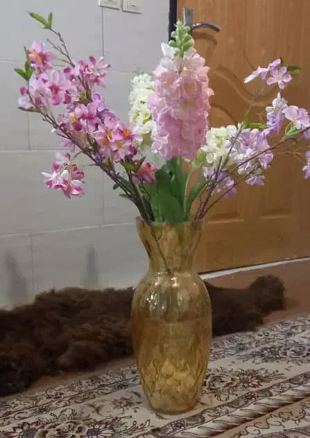 ظرف تزئینی و ویترین|مجسمه، تندیس، ماکت|شاهین‌شهر, فیض|دیوار