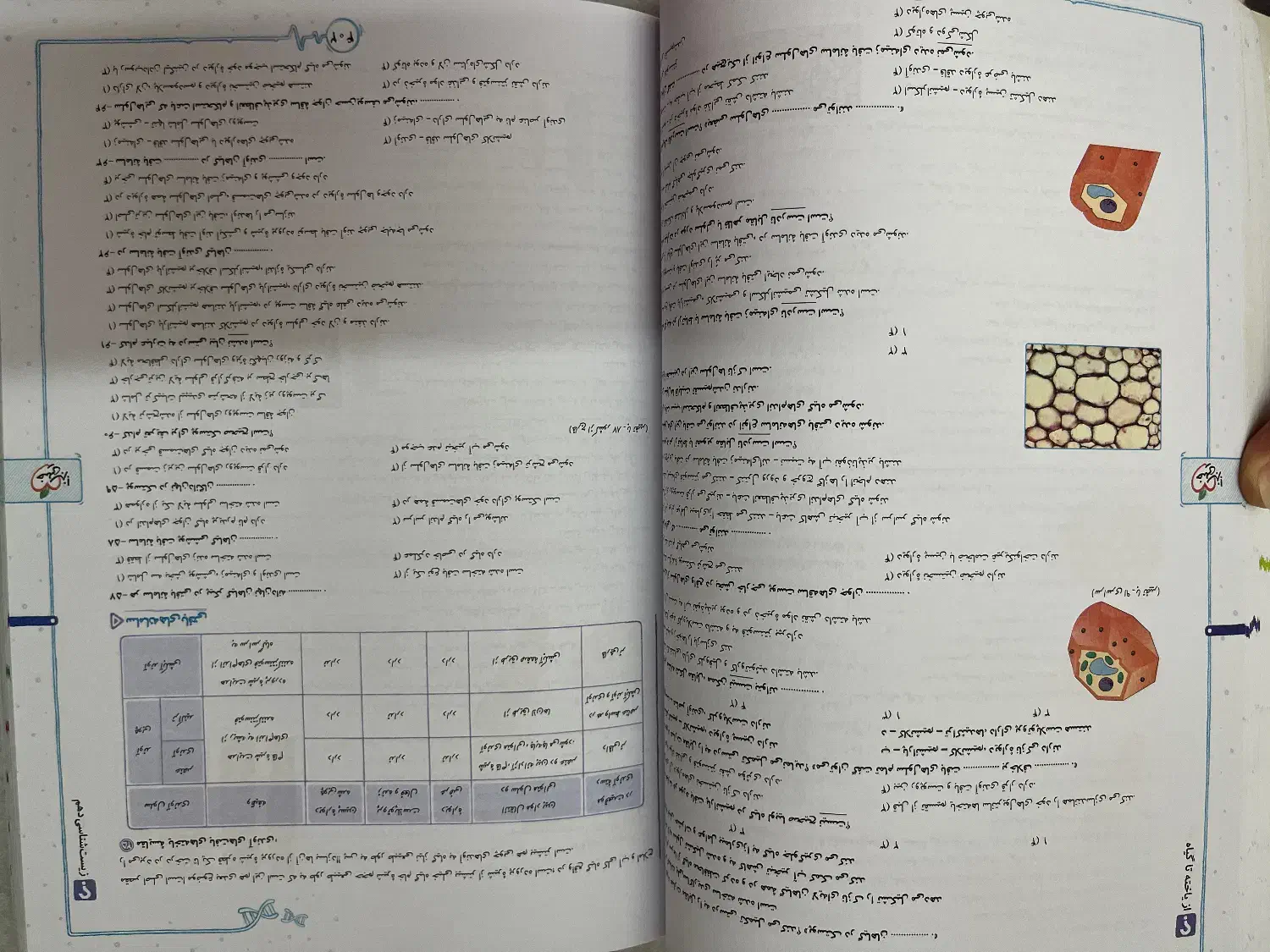 زیست شناسی دهم خیلی سبز|کتاب و مجله آموزشی|تهران, نیروی هوایی (پیروزی)|دیوار