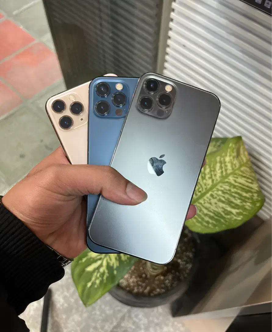 iPhone 12 Pro 256G|موبایل|قم, جهان بینی|دیوار