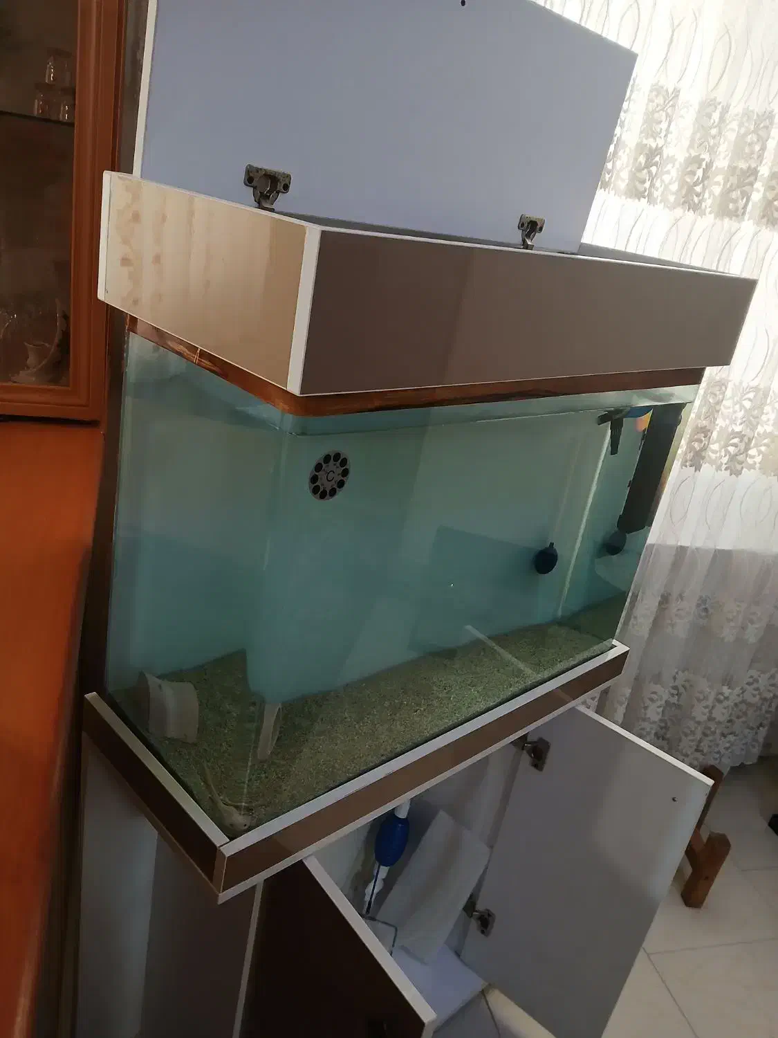 آکواریم شیشه خم 80 سانتی|ماهی|کرج, شهرک بنفشه|دیوار