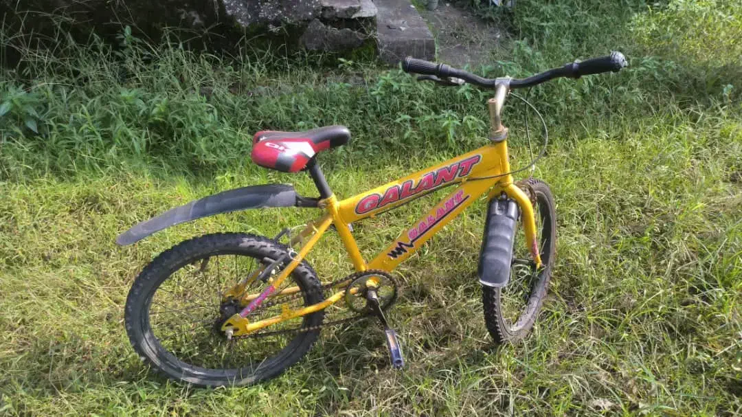 دوچرخه سالم|دوچرخه، اسکیت، اسکوتر|رشت, جانبازان|دیوار