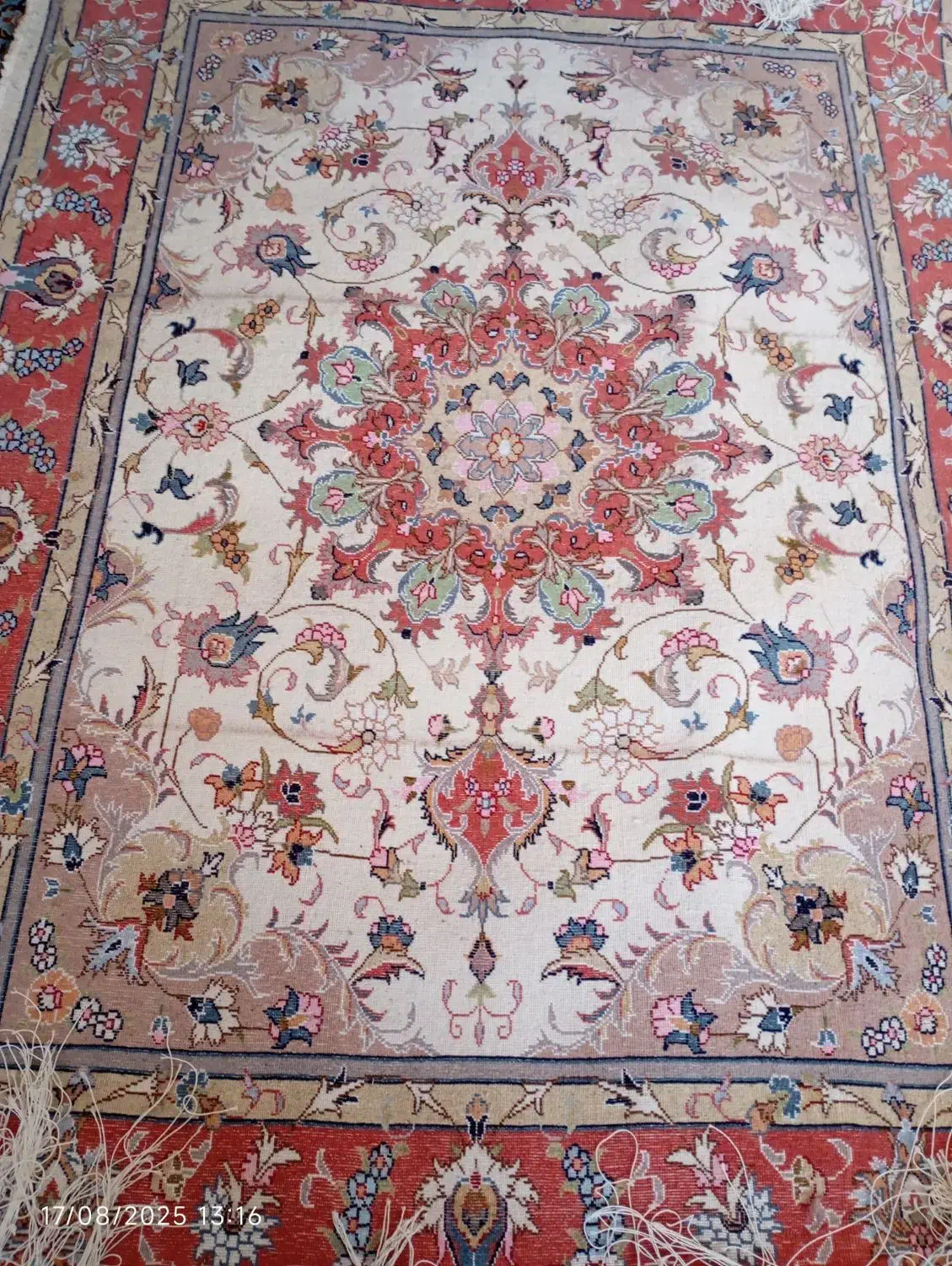 قالی دستباف مستقیم از بافنده|فرش|کاشمر, |دیوار