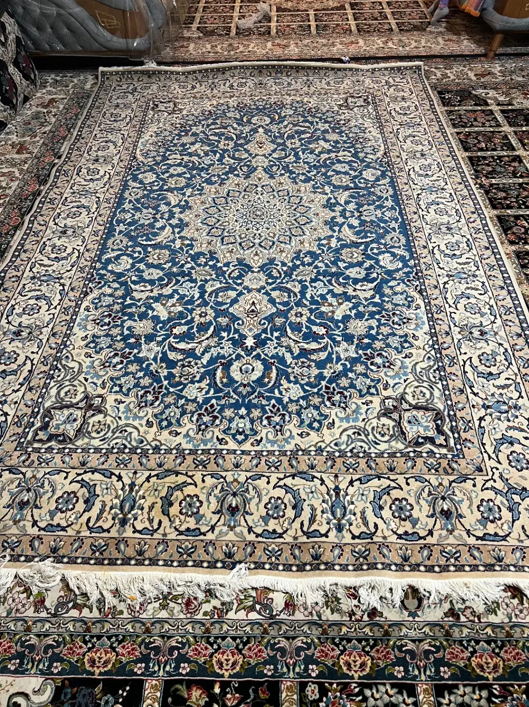 فرش ۶متری دستباف|فرش|شیراز, میانرود|دیوار