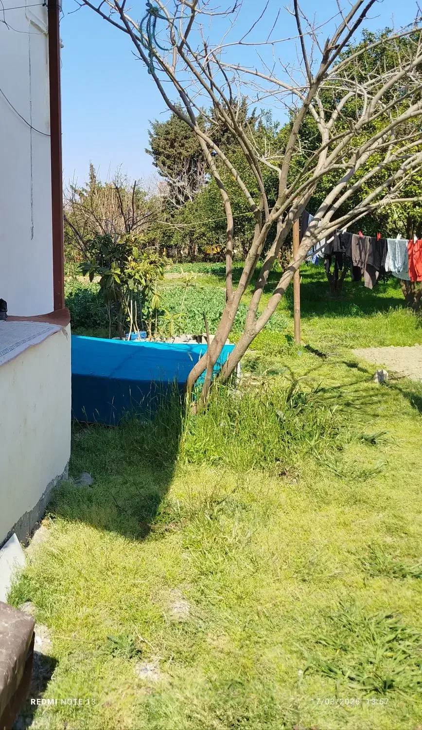 یک خوابه، تمیز و زیبا|اجارهٔ کوتاهمدت آپارتمان و سوئیت|تنکابن, |دیوار