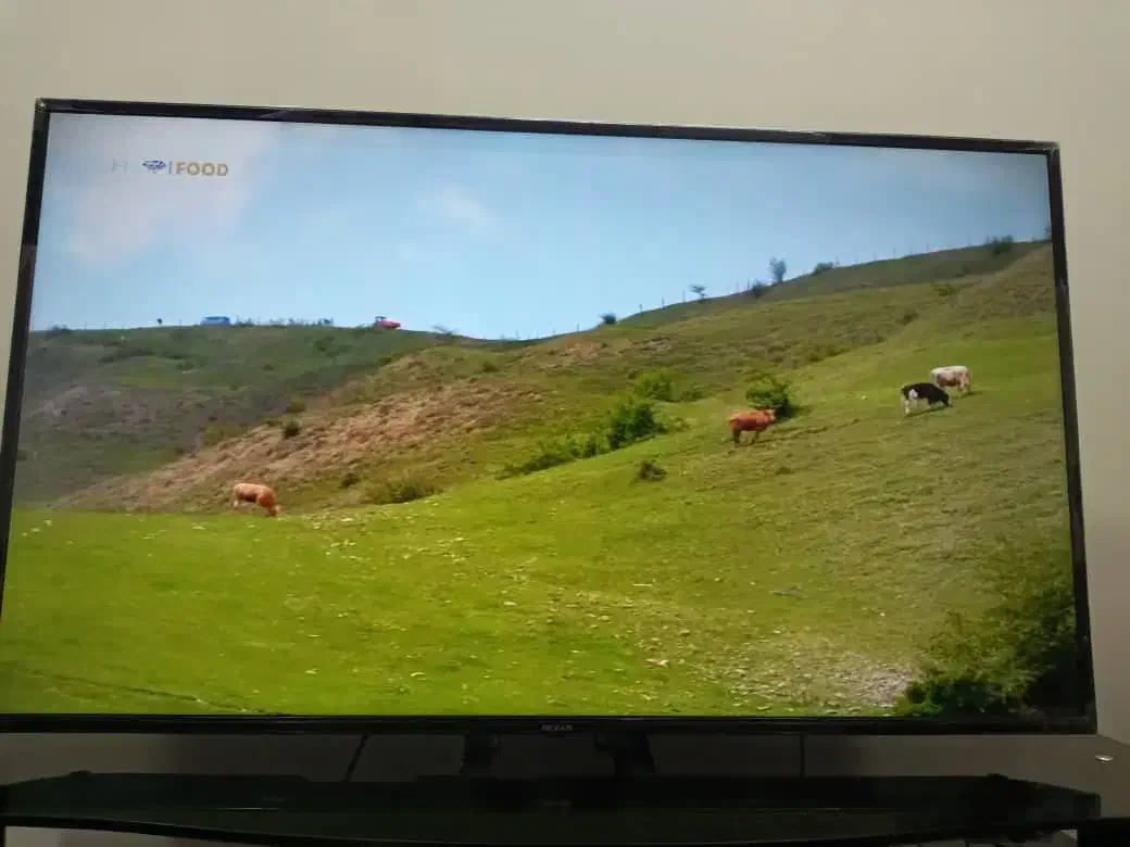 فروش تلوزیون ال ای دی ۵۰ اینچ نکسار|تلویزیون و پروژکتور|مبارکه, |دیوار