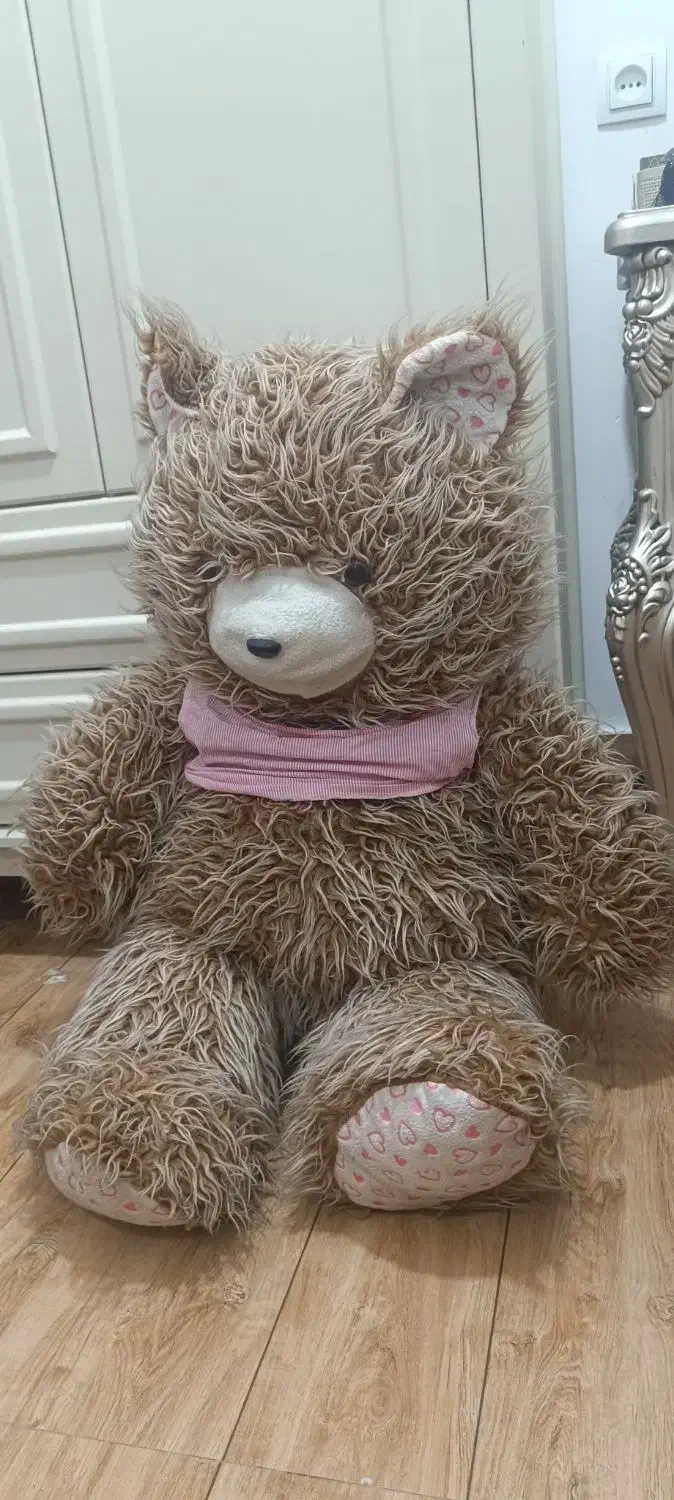 عروسک خرس|اسباب‌‌بازی|مسجد سلیمان, |دیوار