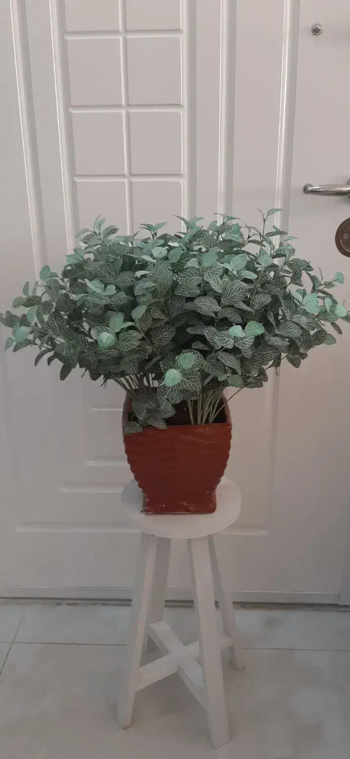 گلدان مصنوعی خارجی با گلدان سرامیک|گل مصنوعی|مشهد, آزادشهر|دیوار