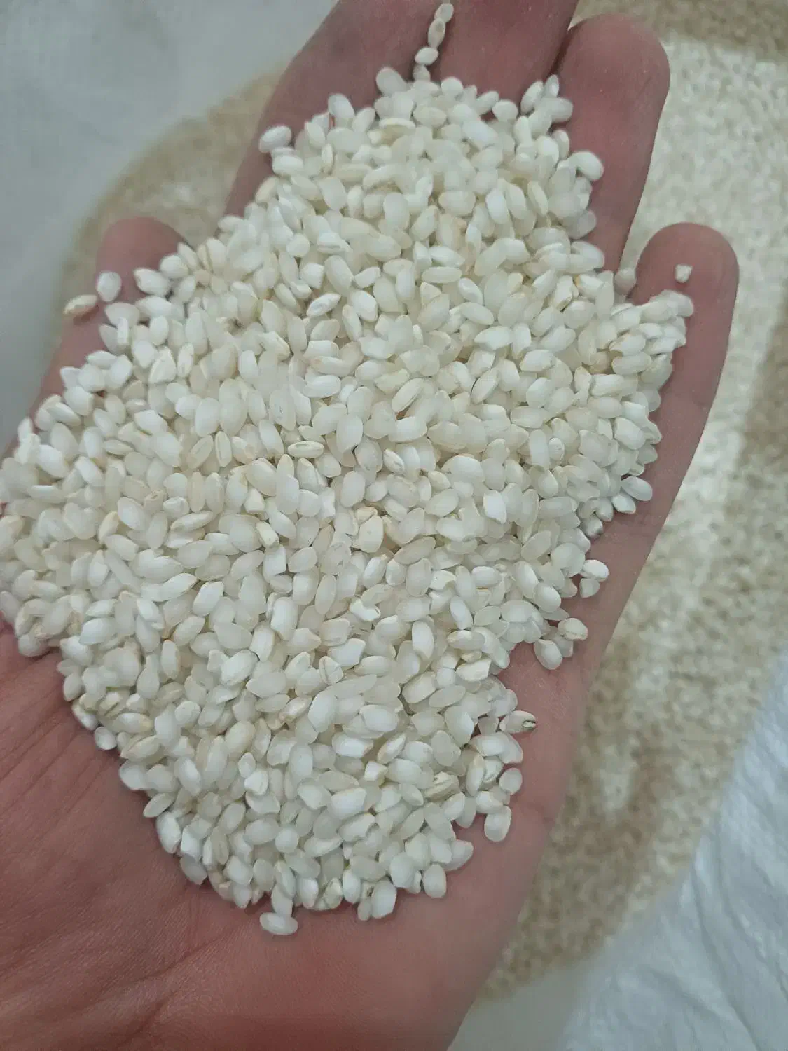 برنج گردە مریوان درجە 1|خوردنی و آشامیدنی|مریوان, |دیوار