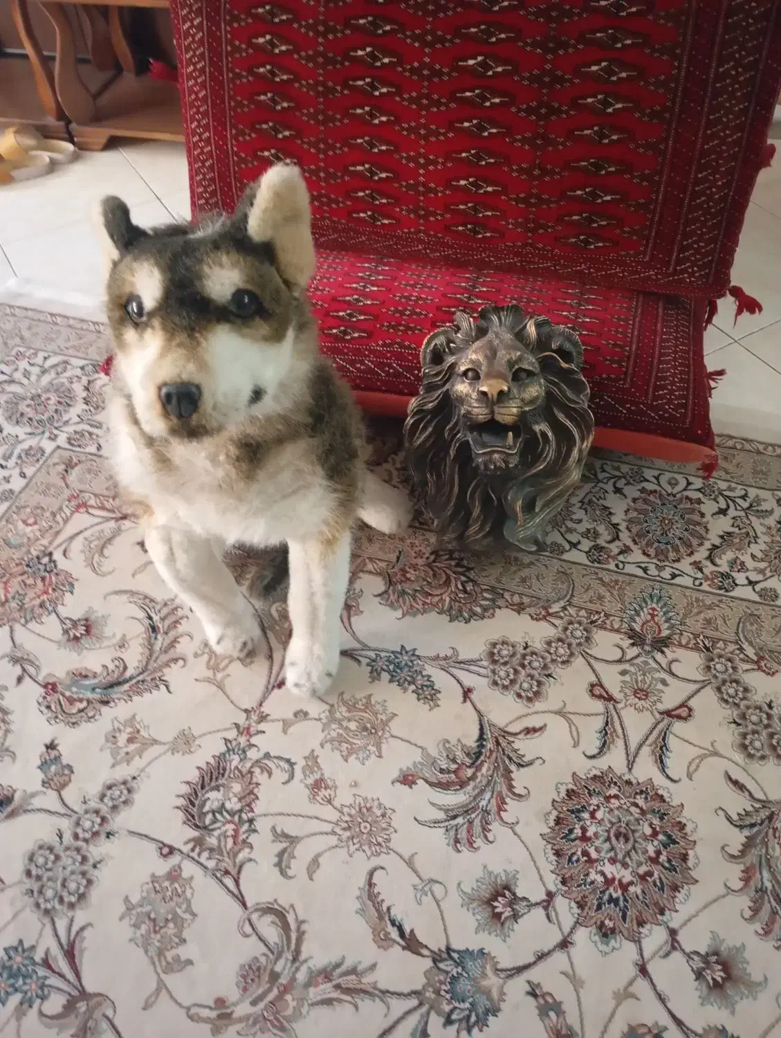 عروسک سگ، تندیس سر شیر|مجسمه، تندیس، ماکت|اصفهان, دستگرده|دیوار