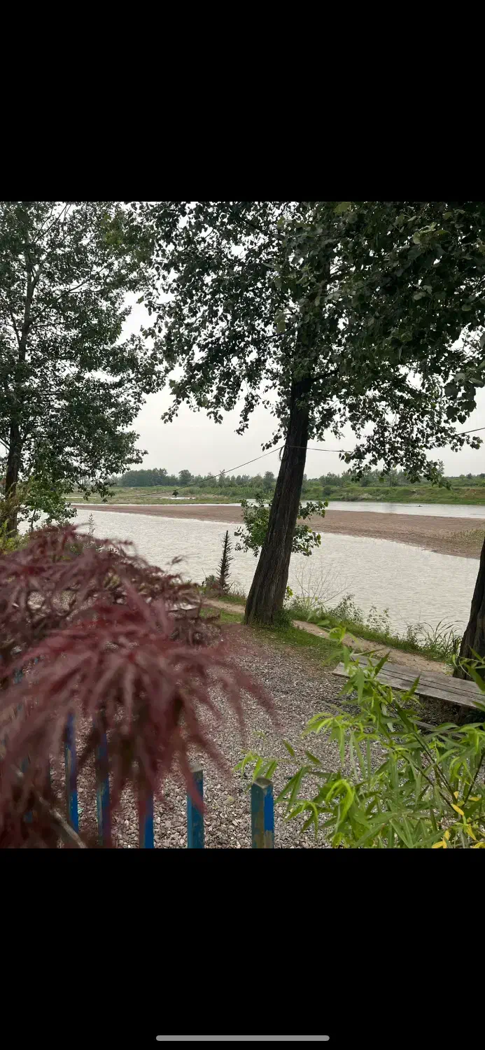 440 متری/چندقدمی سفیدرود/ویلا نشین/لشت نشا/لیچاه|فروش زمین و ملک کلنگی|رشت, منظریه|دیوار