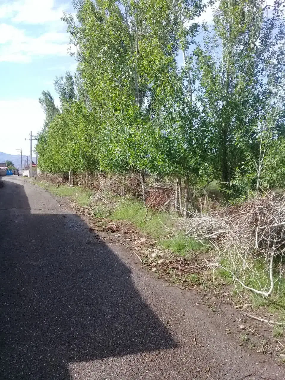 فروش باغ در روستای بیجق|فروش زمین و ملک کلنگی|مشگین شهر, |دیوار