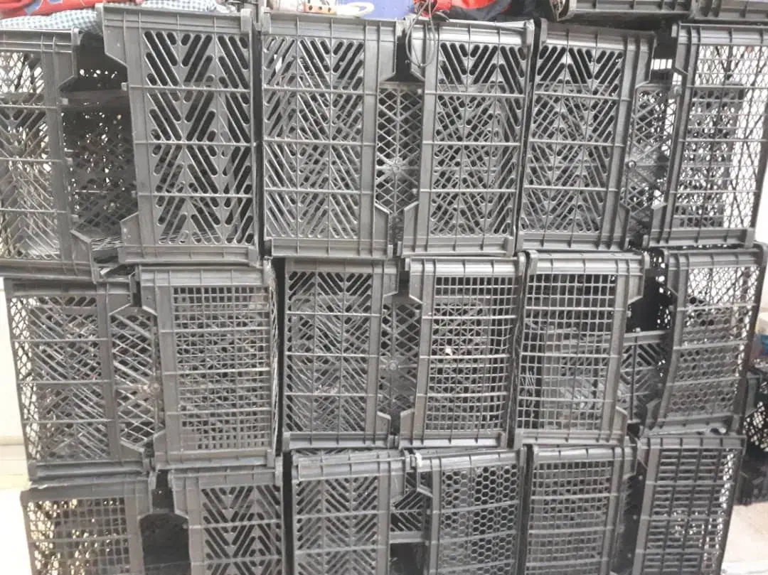 سبد|فروشگاه و مغازه|اندیمشک, |دیوار