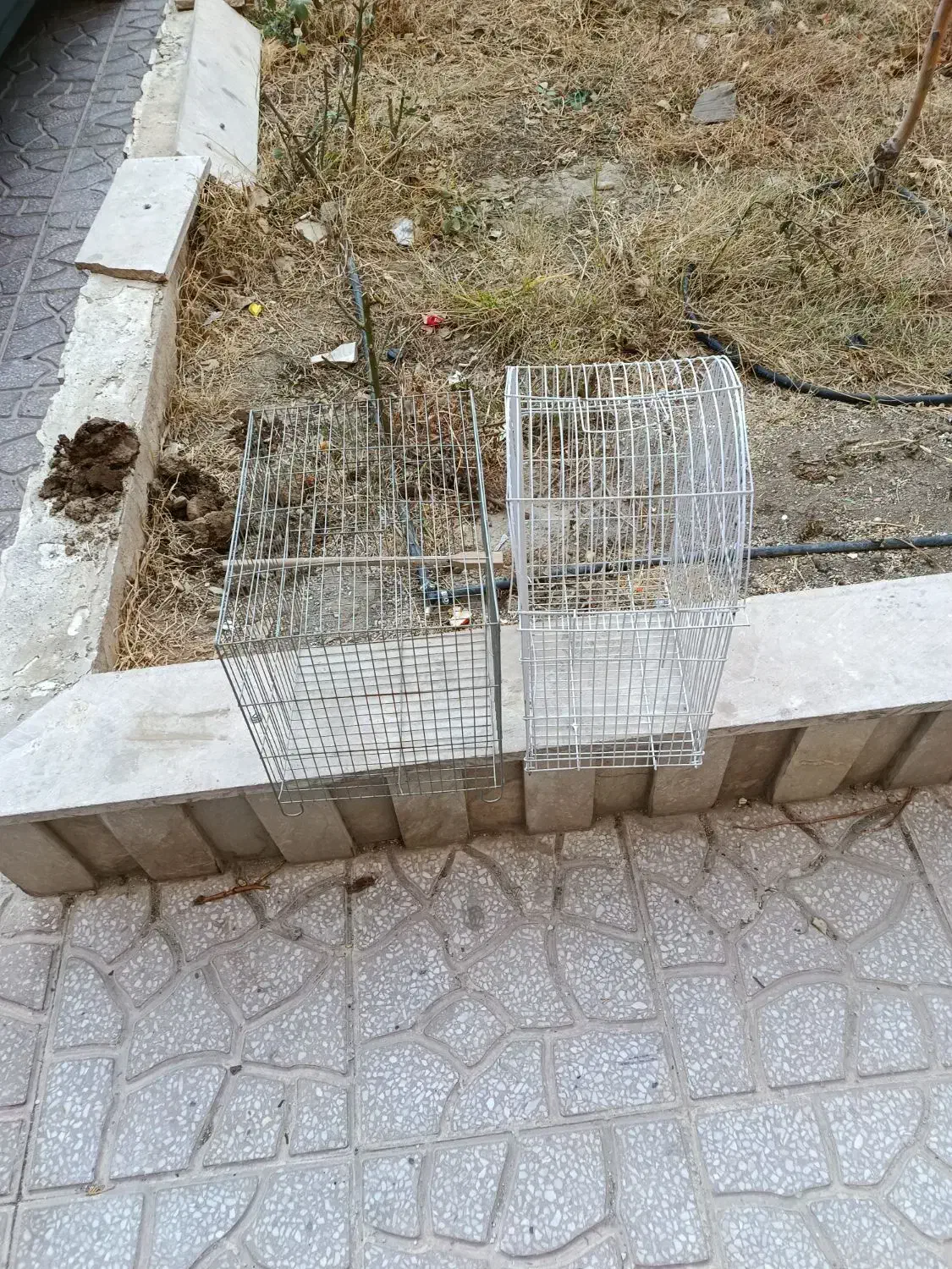 قفس پرنده|لوازم جانبی حیوانات|فردیس, نگارستان|دیوار