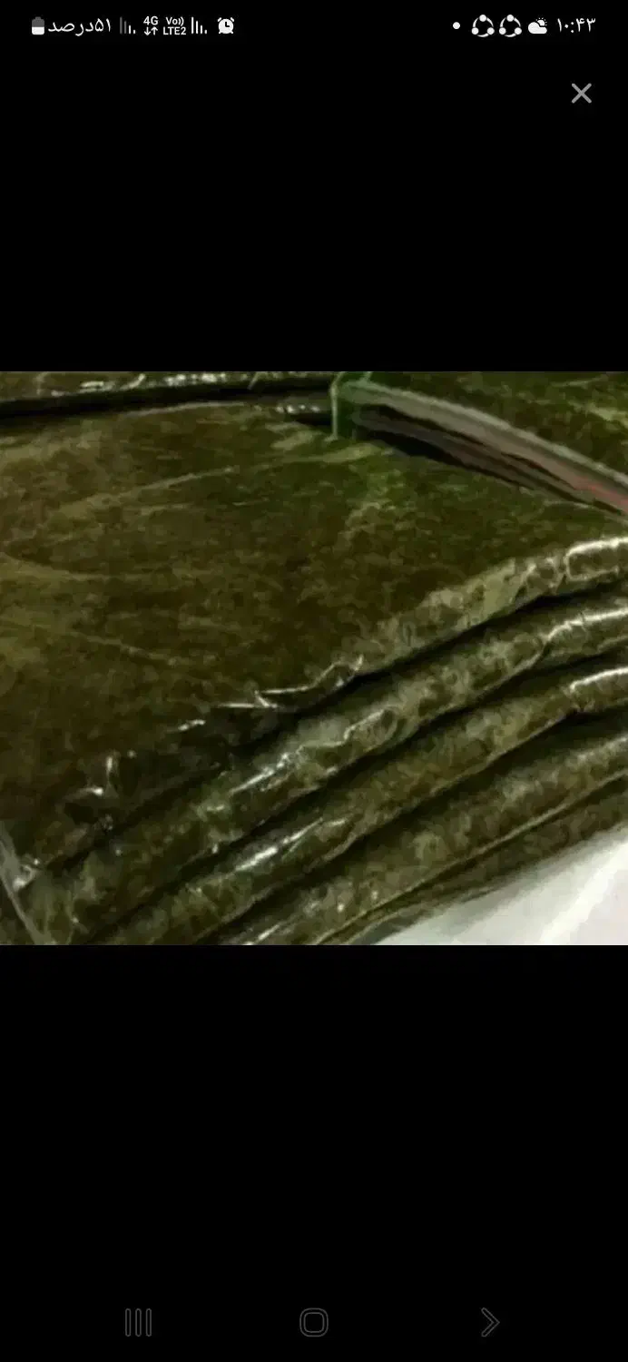 ترشواشچرخشدهوربالوچه|خوردنی و آشامیدنی|چاف و چمخاله, |دیوار