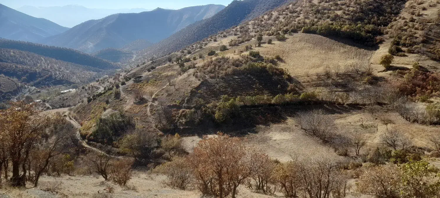 فروش زمین کشاورزی|فروش دفتر صنعتی، کشاورزی، تجاری|مریوان, |دیوار