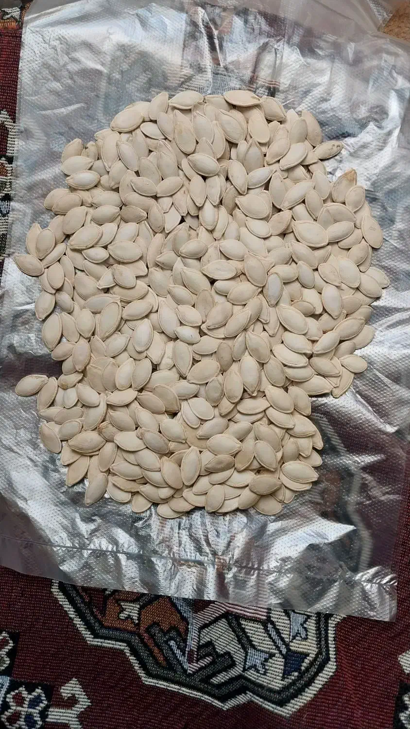 کدو|عمدهفروشی|بروجن, |دیوار