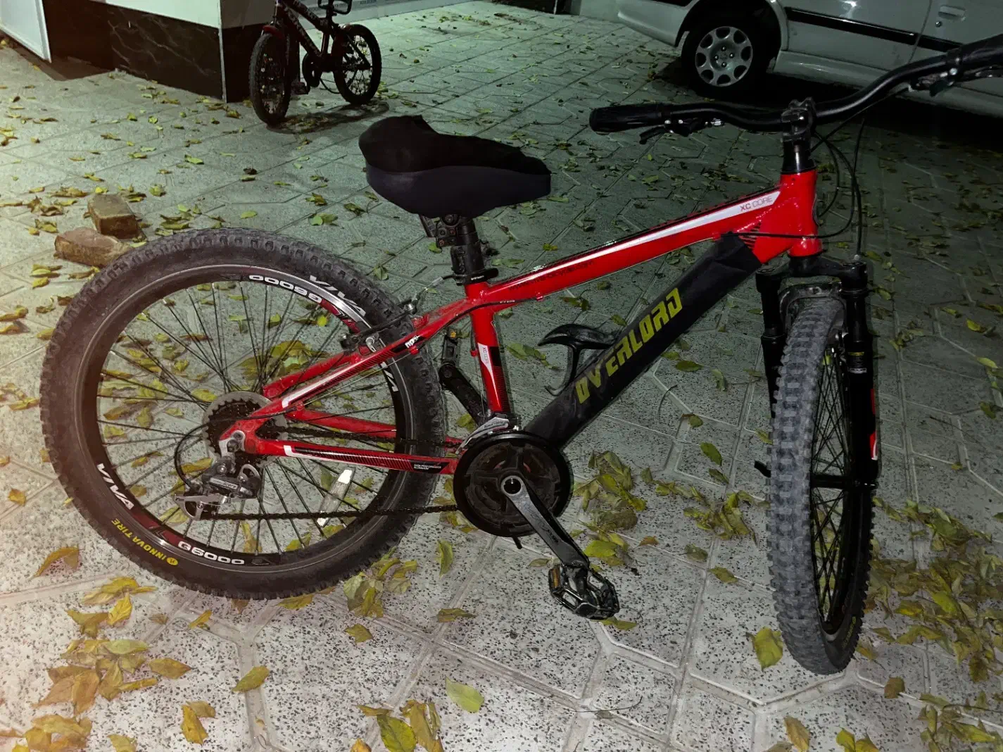 دوچرخه ویوا اصل۲۴|دوچرخه، اسکیت، اسکوتر|همدان, |دیوار