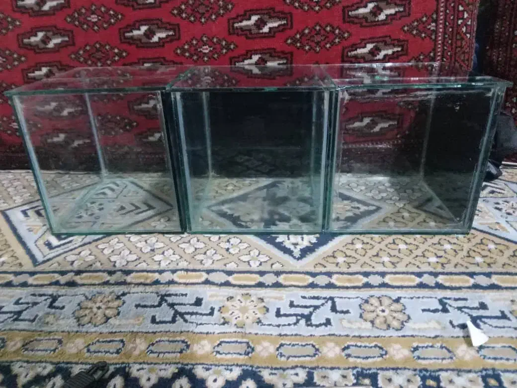 آکواریوم ماهی فایتر|ماهی|ری, دولت‌آباد|دیوار