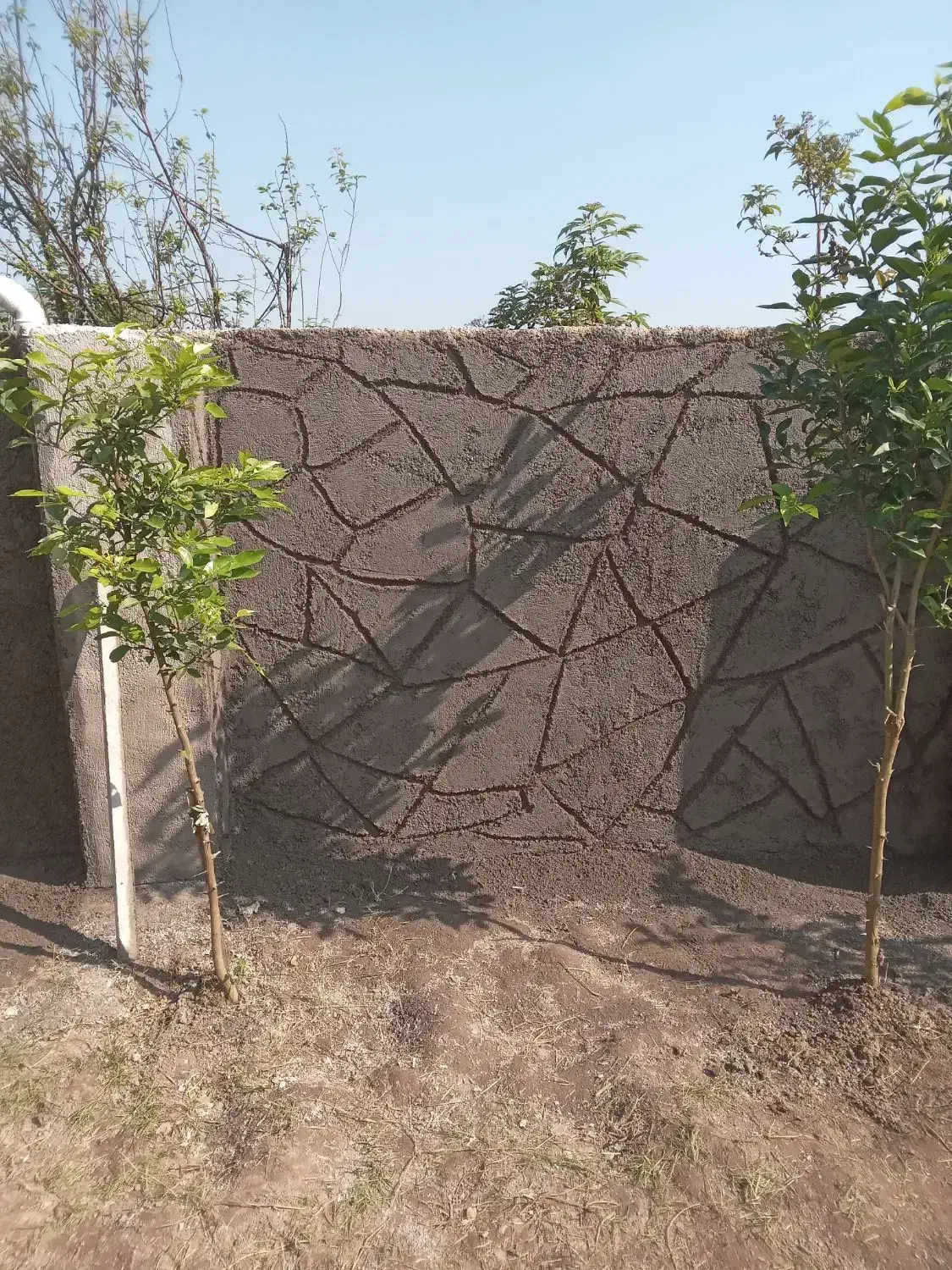 انجام خدمات سیمان ساده و طرح دار|خدمات پیشه و مهارت|کوچصفهان, |دیوار