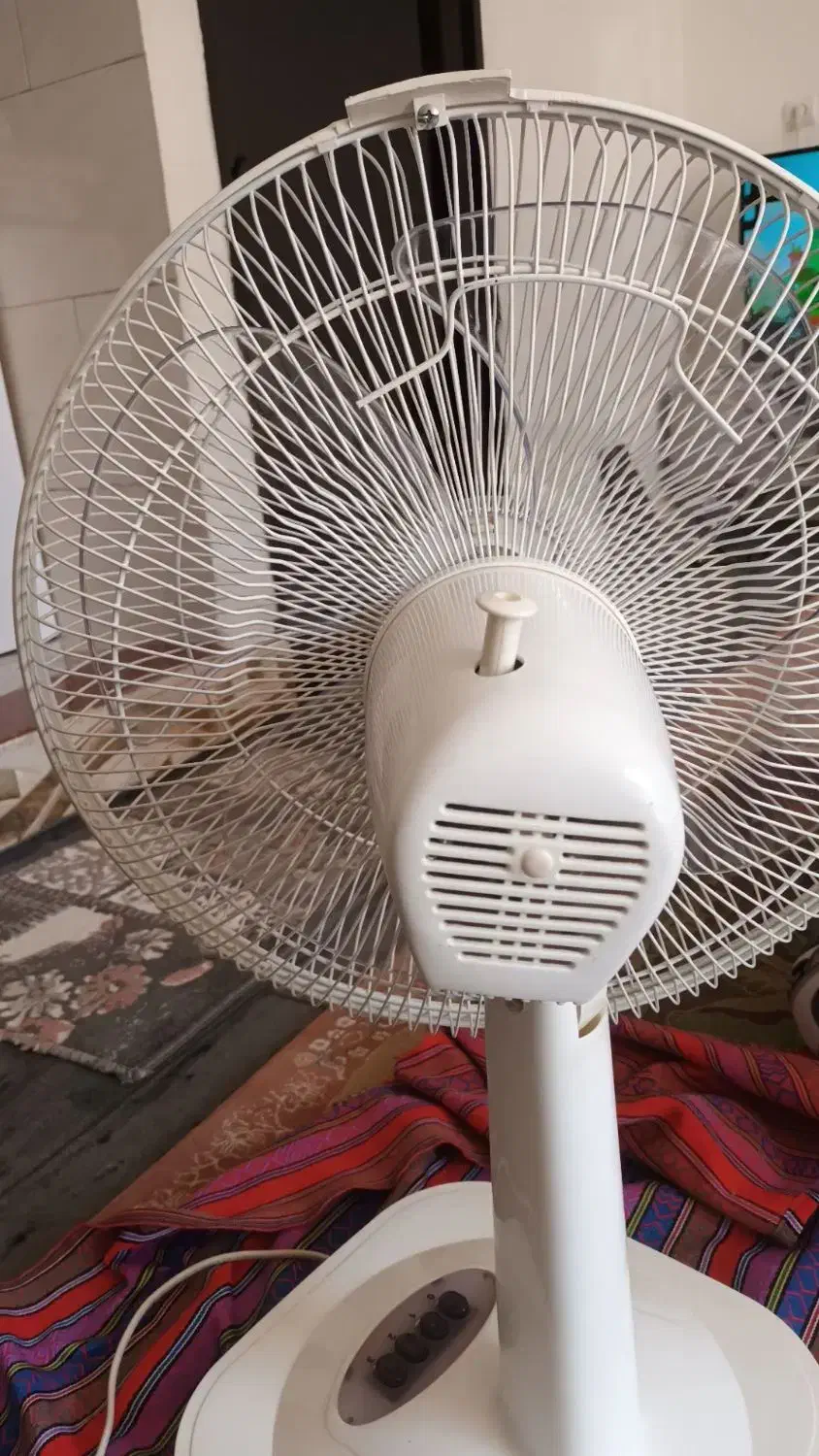 پنکه و سبزی خورد کن|سایر لوازم برقی|تبریز, |دیوار