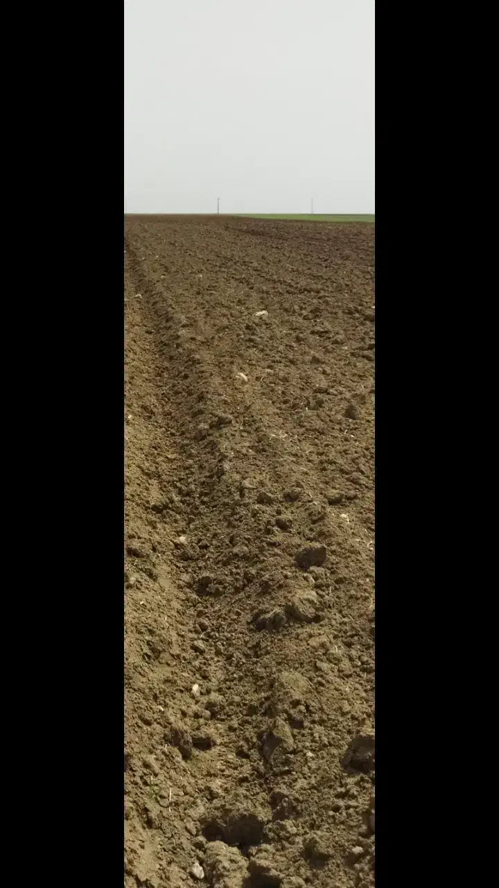 فروش زمین کشاورزی ویک منزل در روستا|فروش دفتر صنعتی، کشاورزی، تجاری|کوزران, |دیوار