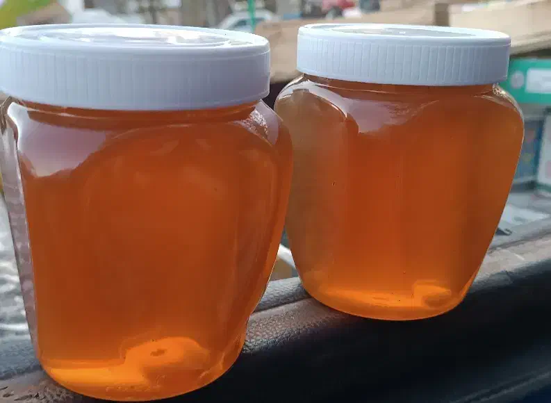 عسل طبیعی|خوردنی و آشامیدنی|تهران, زنجان جنوبی|دیوار