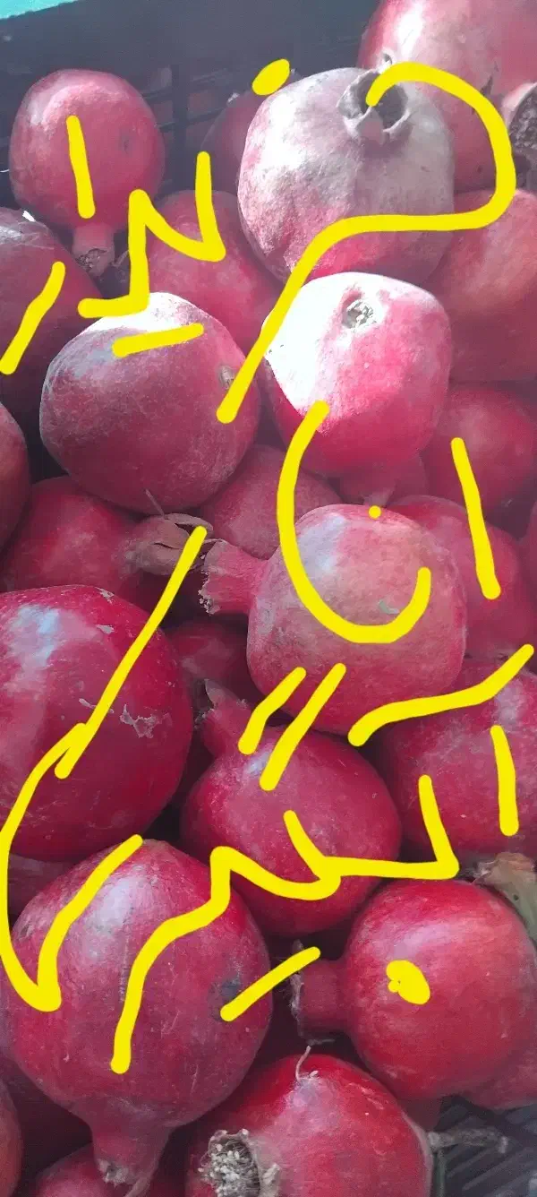 انار ابگیری|خوردنی و آشامیدنی|قم, آزادگان|دیوار