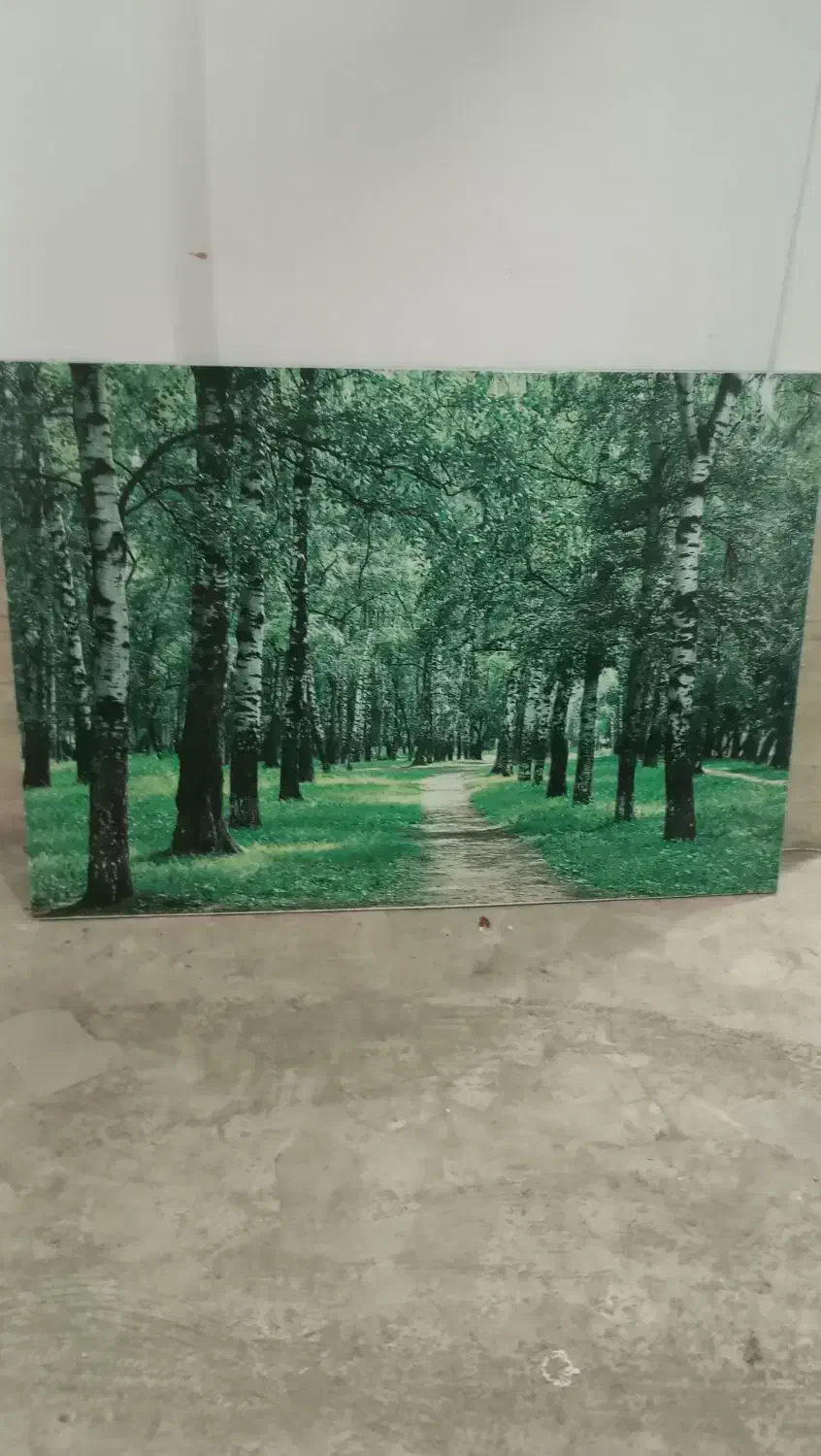 تابلو آماده با نور سالم سالم|تابلو، نقاشی، عکس|رشت, پل تالشان|دیوار