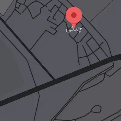 سگ گمشده حوالی چنگی|حیوانات|پاکدشت, پارچین|دیوار