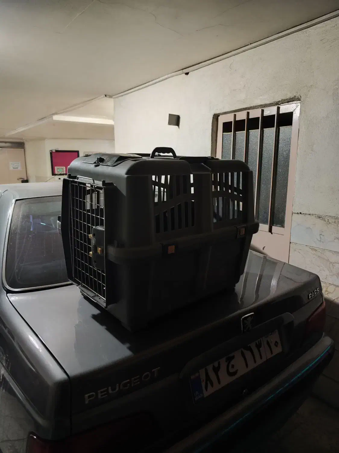 باکس حمل سگ و گربه|لوازم جانبی حیوانات|ری, حمزهآباد|دیوار