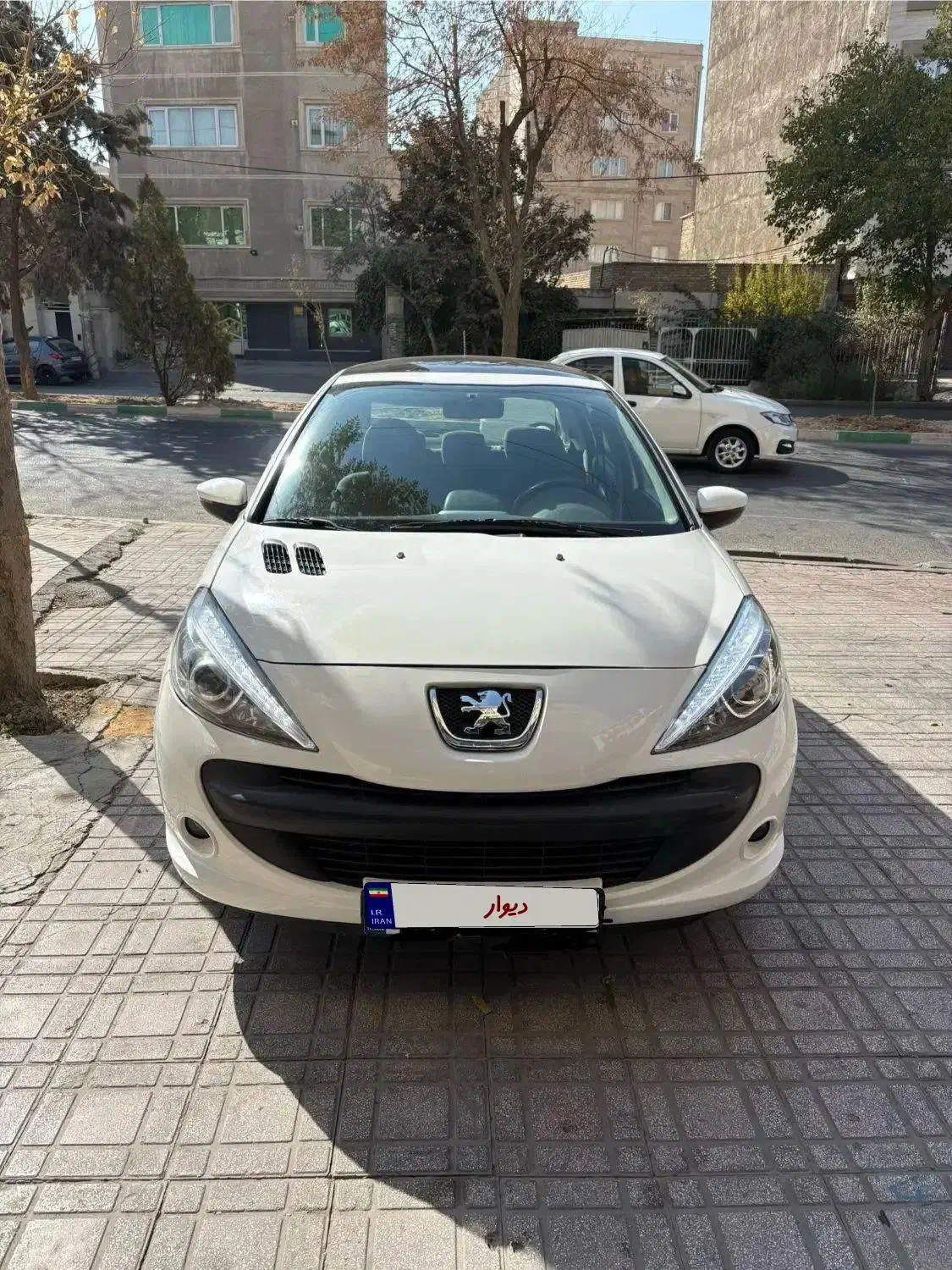 207 پانا 1401|خودرو سواری و وانت|فردیس, ثابتی|دیوار