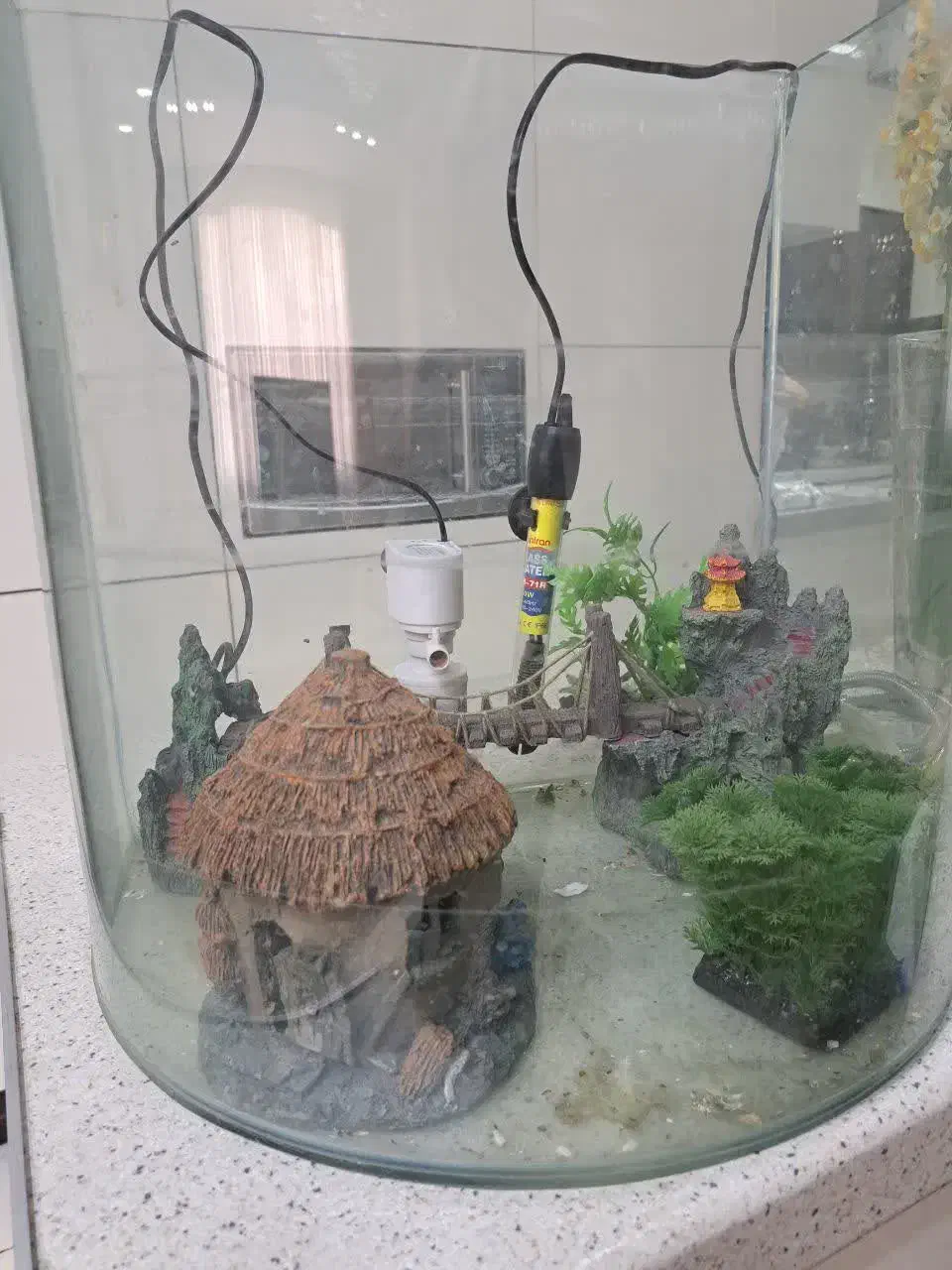 آکواریوم|ماهی|گرمدره, |دیوار