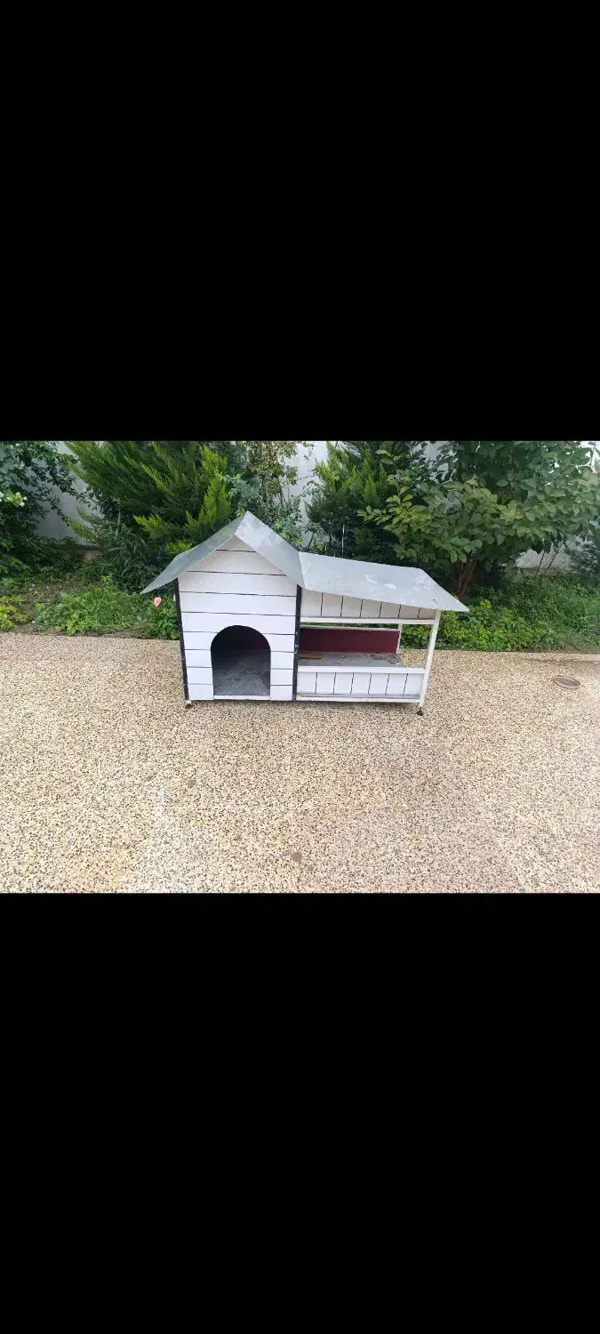 خانه سگ|لوازم جانبی حیوانات|ساری, |دیوار