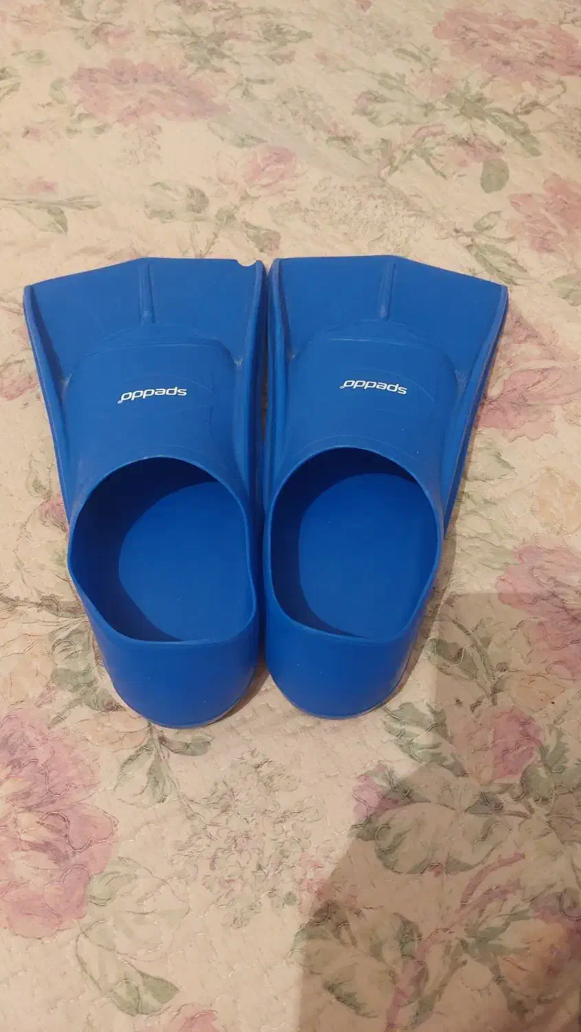 فین|غواصی و ورزشهای آبی|شیراز, قدوسی شرقی|دیوار