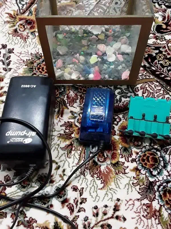 وسایل اکواریوم|ماهی|اسلام‌شهر, شهرک توحید|دیوار