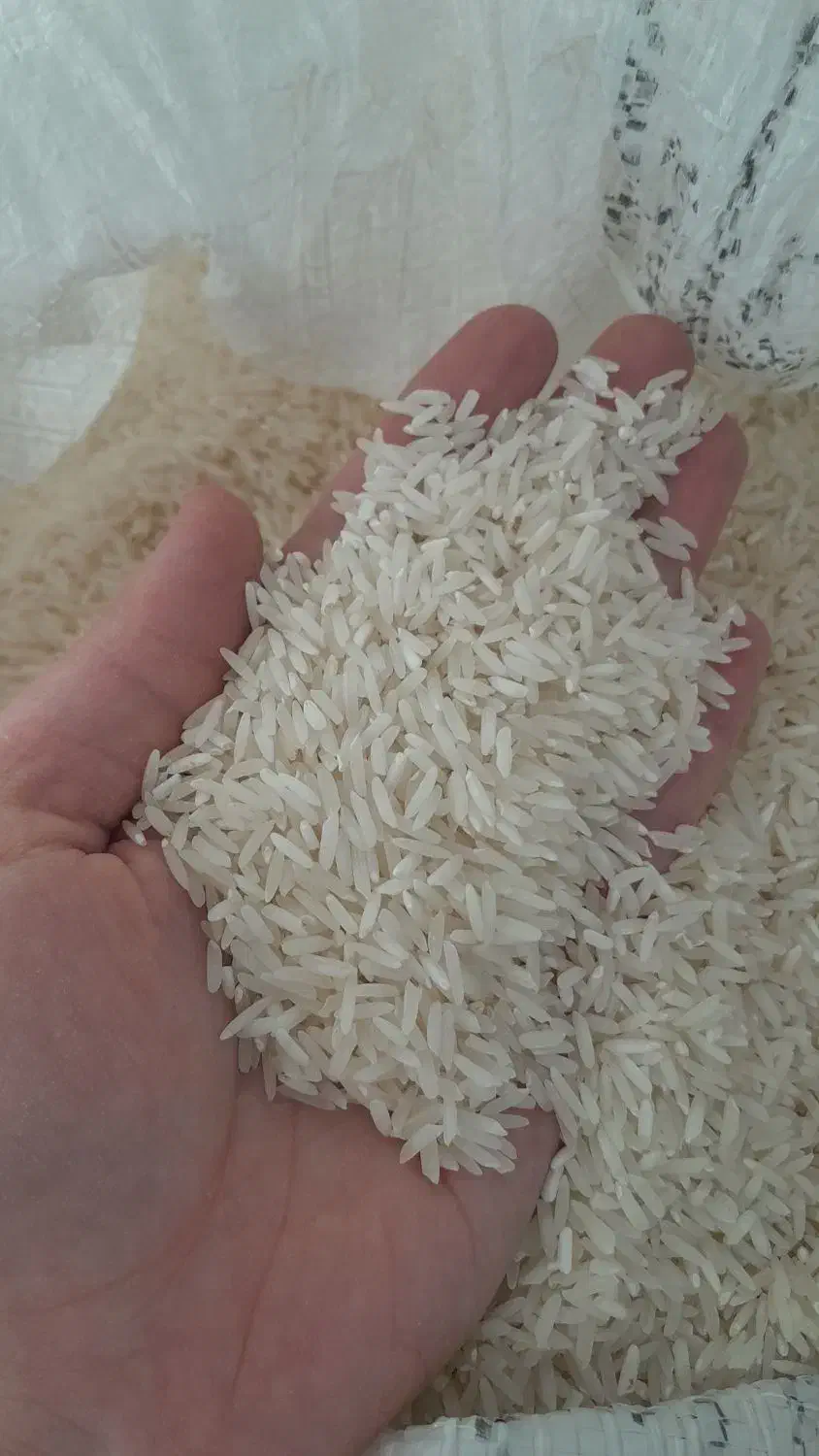 برنج عنبر بو|خوردنی و آشامیدنی|دره شهر, |دیوار