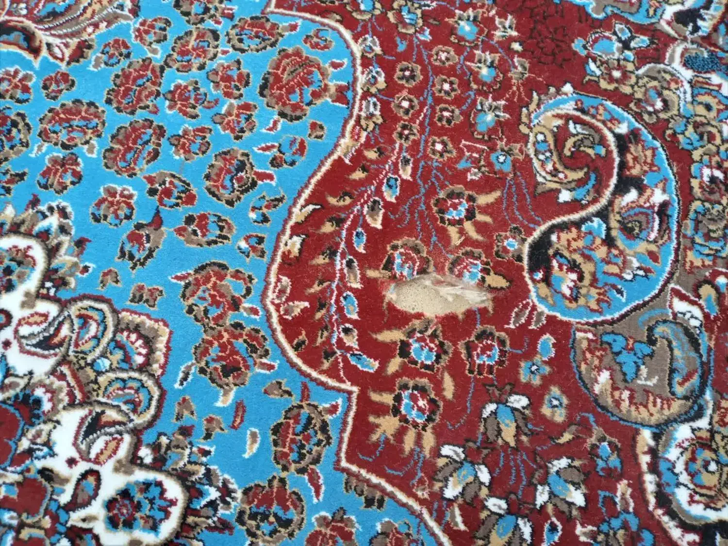 فرش مناسب باغ|فرش|خمینی‌شهر, |دیوار
