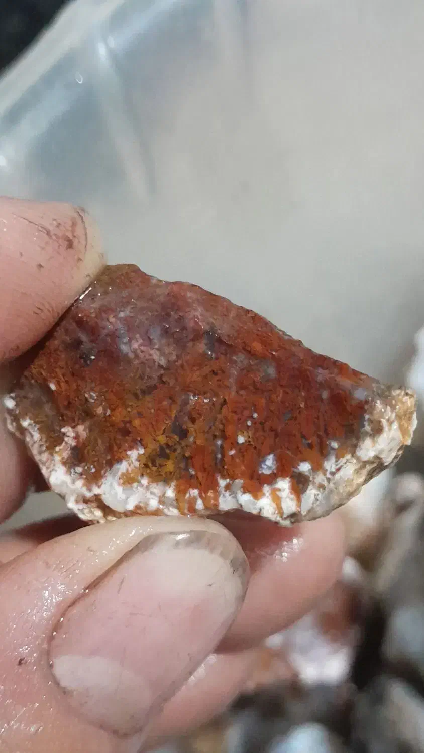 سنگ شجر عقیق سلیمانی|کلکسیون اشیاء عتیقه|تایباد, |دیوار