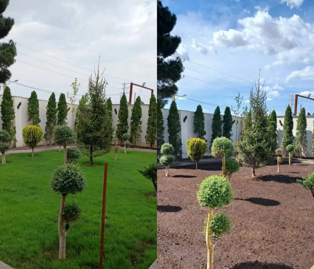 باغبانی سم پاشی کودهی هرس کاری گلدون وباغچه وچمن|خدمات باغبانی و درختکاری|تهران, جهاد|دیوار