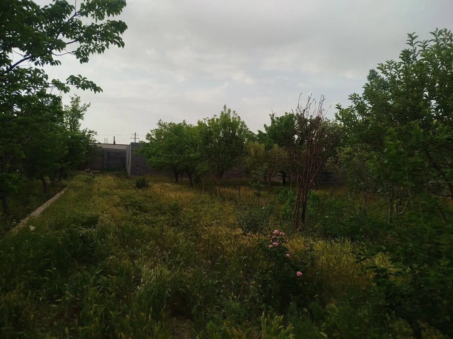 تصویر 4