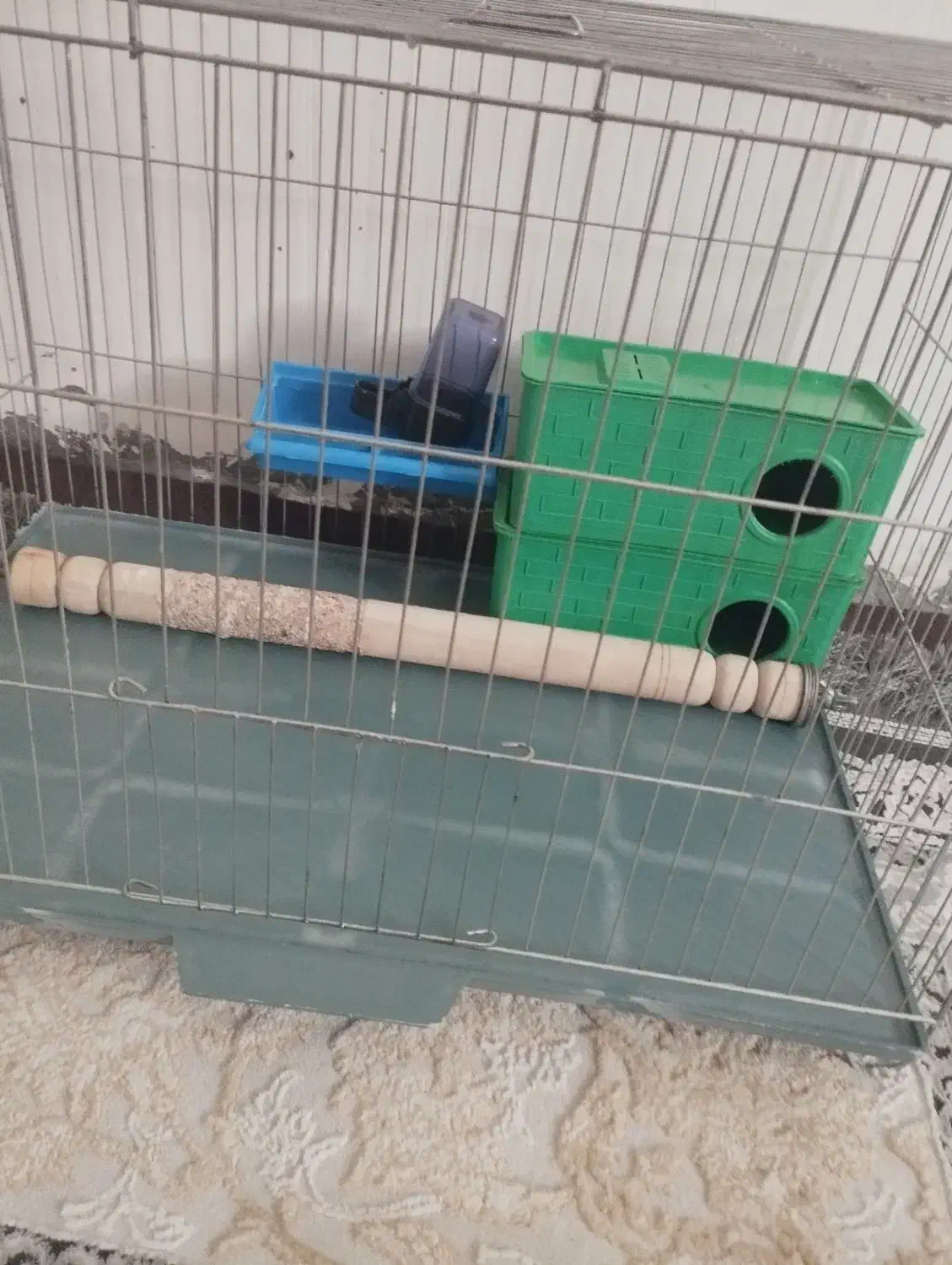 قفس با تمام وسایل ارزان|لوازم جانبی حیوانات|بوکان, |دیوار