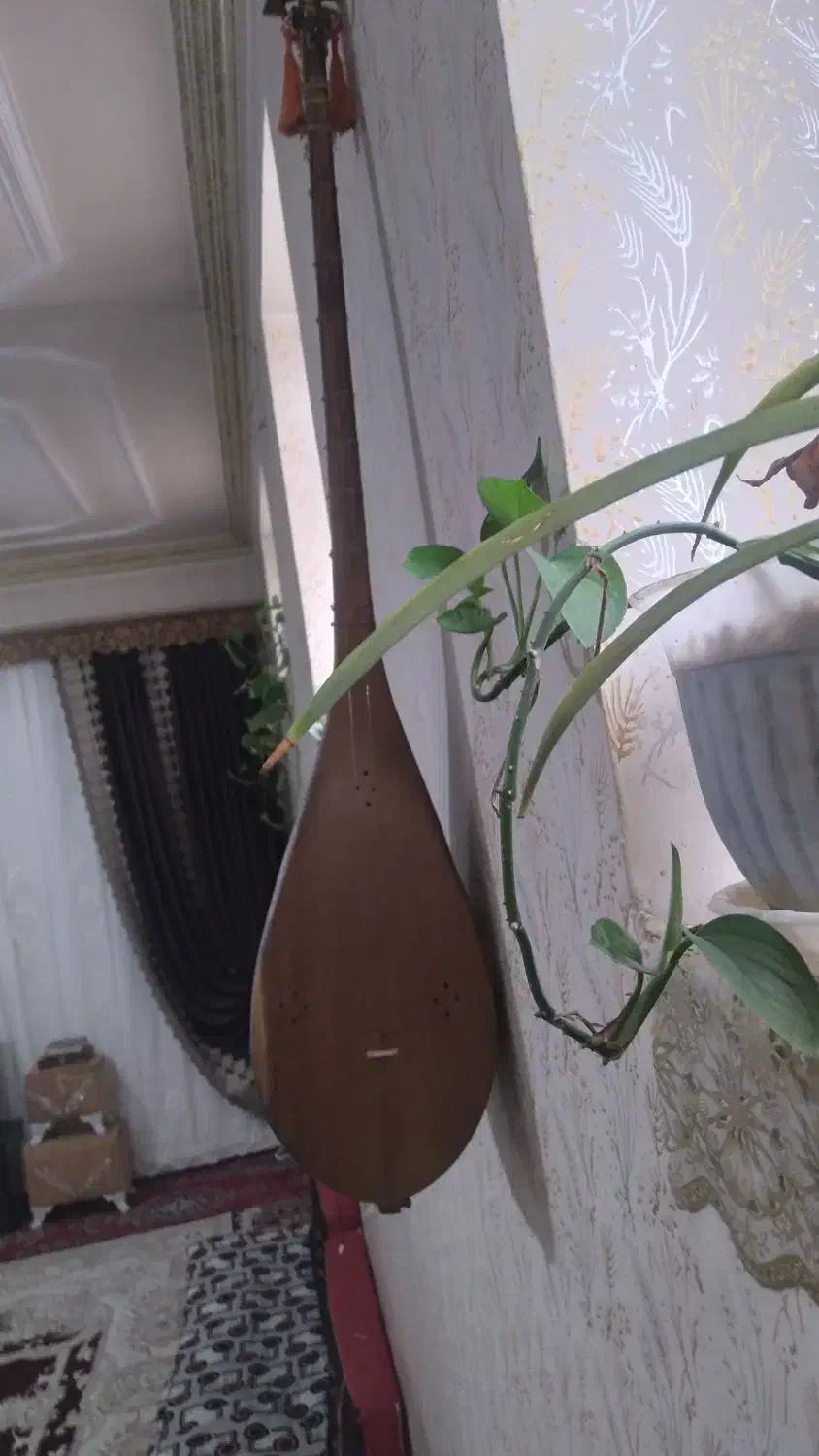 دوتار خوش صدا قدیمی نرم پنجه استاندارد|سازهای سنتی|باخزر, |دیوار