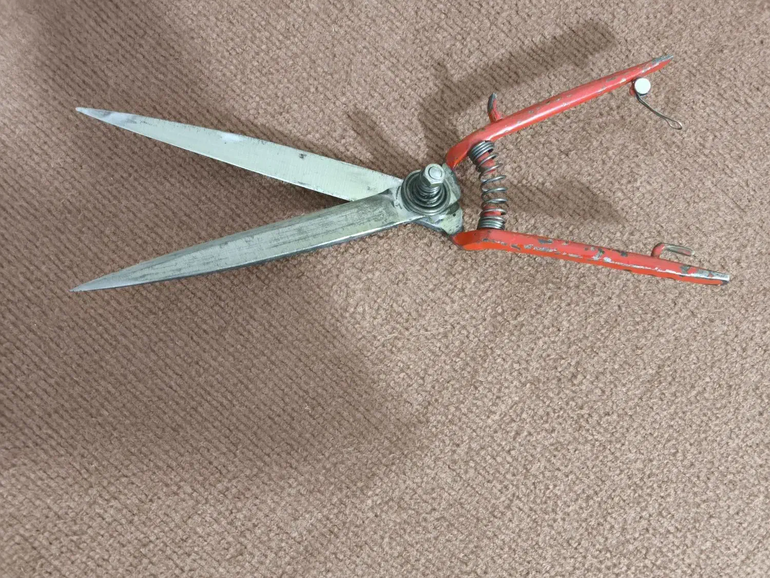 قیچی قالی و قالیچه تیزبز|لوازم خیاطی و بافتنی|گنبد کاووس, |دیوار